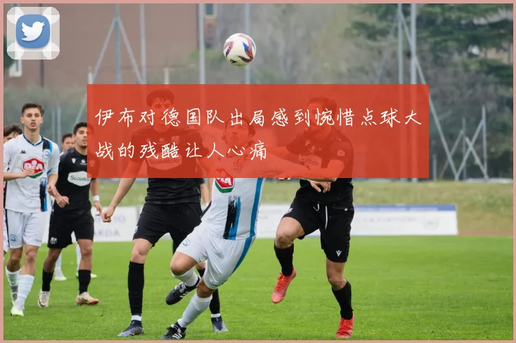 伊布对德国队出局感到惋惜点球大战的残酷让人心痛