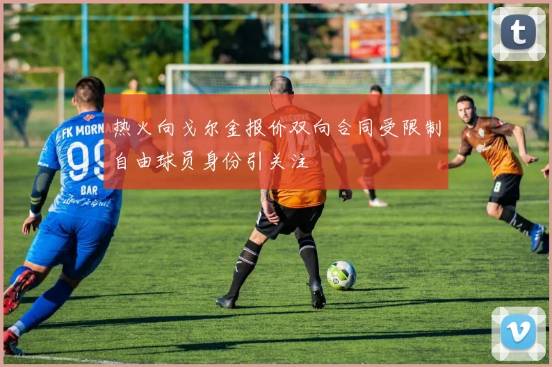 热火向戈尔金报价双向合同受限制自由球员身份引关注